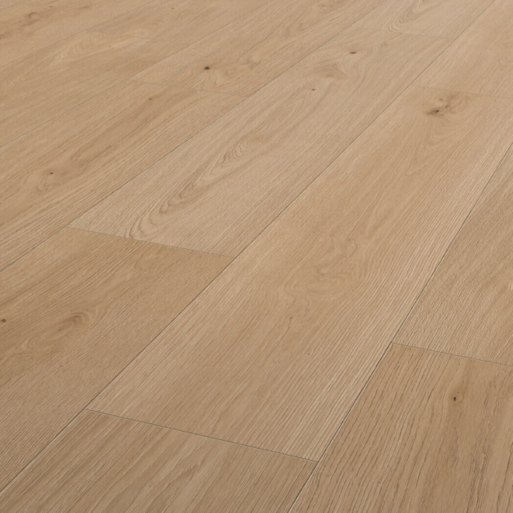 Panele laminowane 1910 Ter Hurne Trend Line