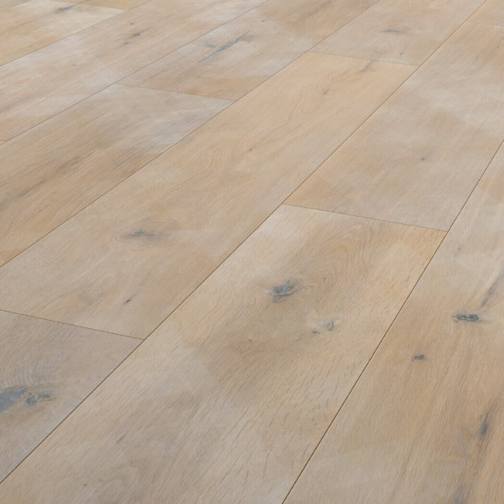 Panele laminowane 1913 Ter Hurne Trend Line