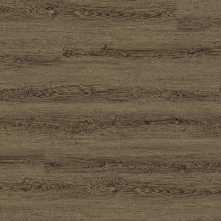 Panele winylowe 2043 Ter Hurne Vinil Straight Choice