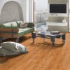 Panele laminowane 8635 Kronopol Parfe Floor