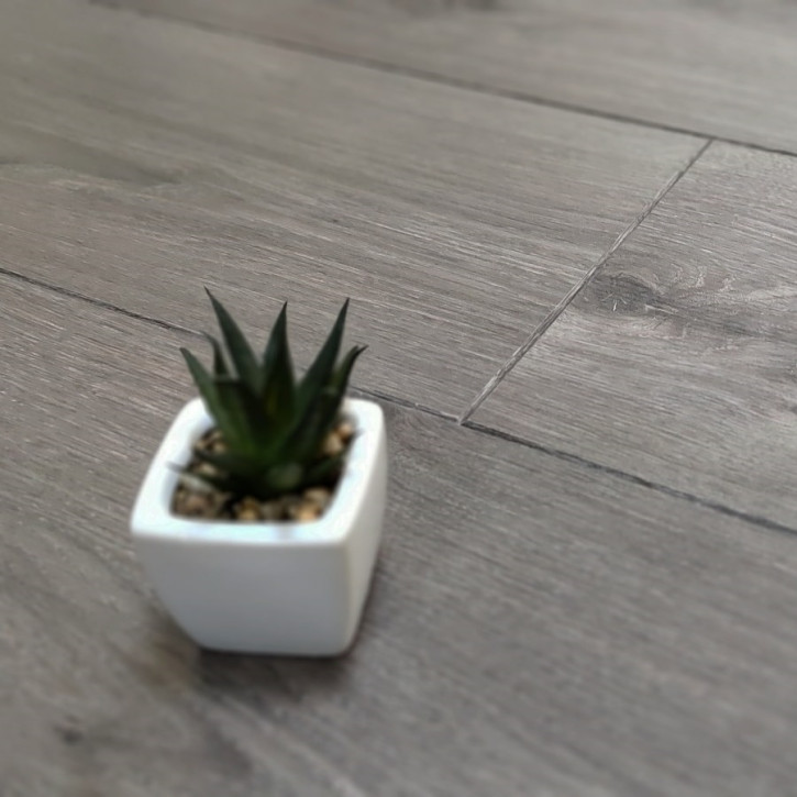 Panele laminowane 60584 Vitality Vitality Deluxe 4V