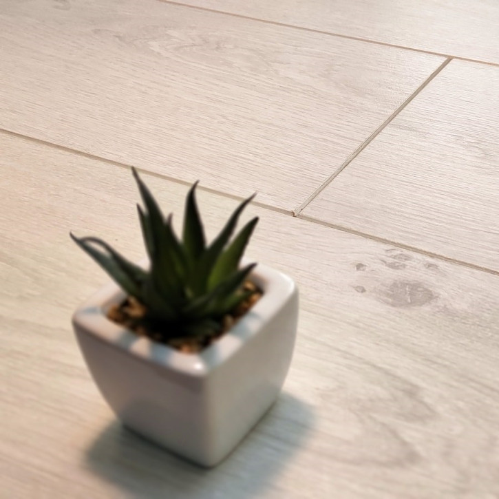 Panele laminowane 60619 Vitality Vitality Deluxe 4V