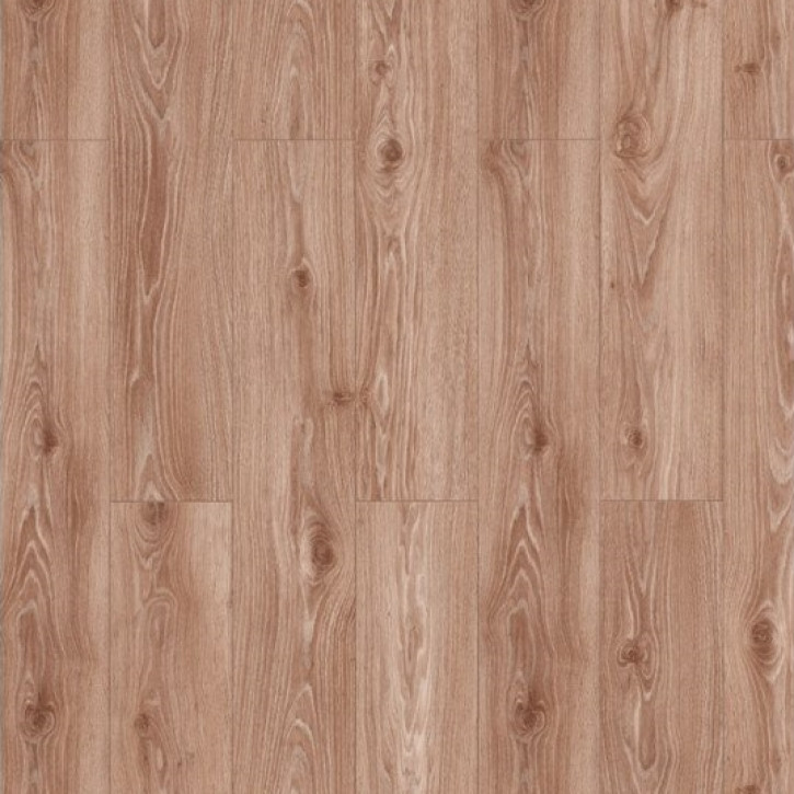 Panele laminowane 47083 Classen Discovery 4V