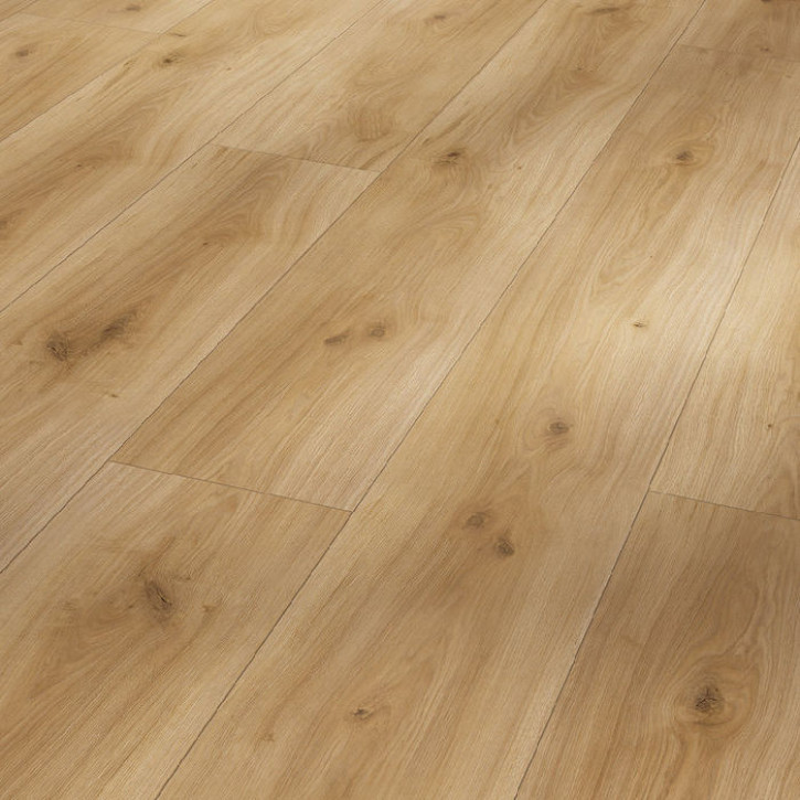 Panele laminowane 1593853 Parador Basic 600 V4