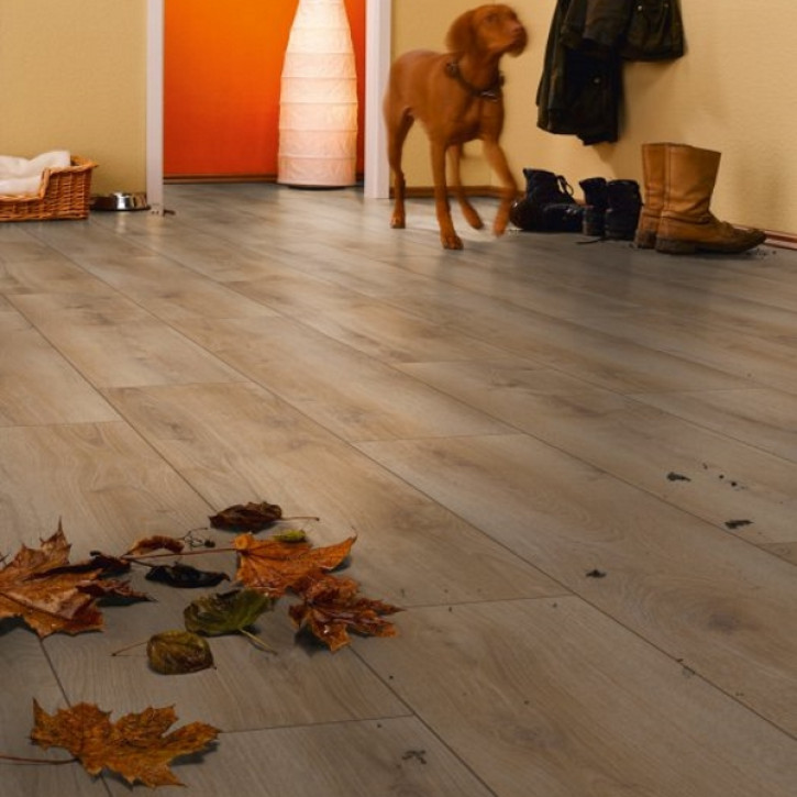 Panele laminowane MAV4PL03903 Star Collection Magic Stars Plus