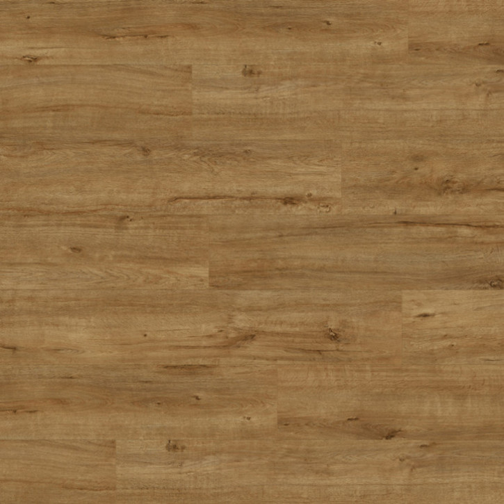 Panele laminowane 8SNK633PPX Krono Original Super Natural Dąb Gold Apollo