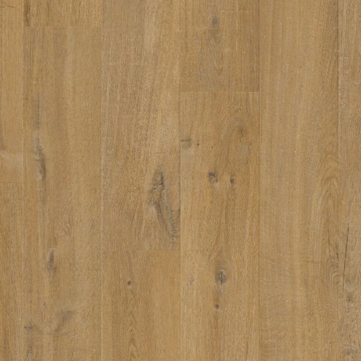 Panele winylowe AVMPU40203 Quick-Step Bloom Dąb bawelniany gleboka natura