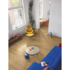 Panele winylowe AVMPU40203 Quick-Step Bloom Dąb bawelniany gleboka natura