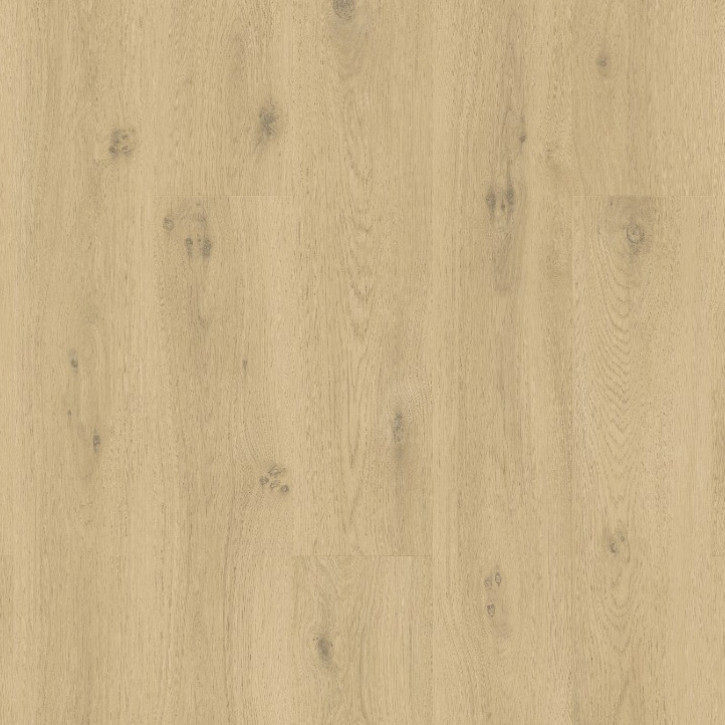 Panele winylowe SGSPC20313 Quick-Step Ocean bliss naturalny