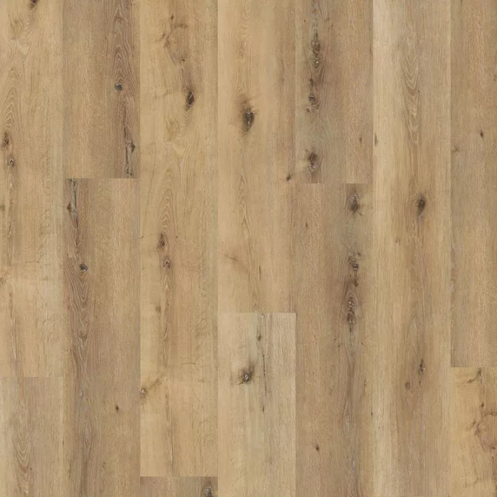 Panele winylowe DLC00064 Wineo Vinil Wood 800 XL Panele winylowe DLC00064 Wineo Vinil Wood 800 XL