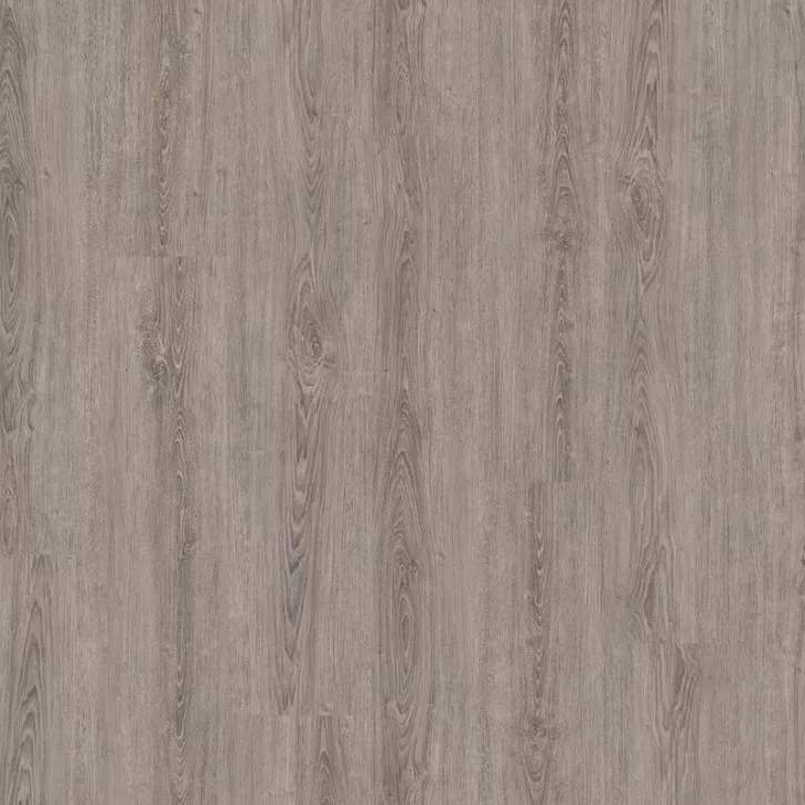 Panele winylowe DLC00065 Wineo Vinil Wood 800 XL