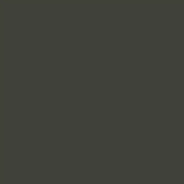 Panele laminowane LA069CM-1 Wineo Color 550