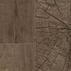 Panele laminowane K4383 Kaindl Classic Touch 8-32 Premium Panele laminowane K4383 Kaindl Classic Touch 8-32 Premium