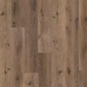 Panele winylowe DB00063 Wineo Vinil Wood 800 XL