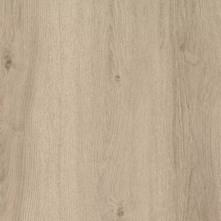 Panele laminowane ORN32RV-FP951 Kastamonu