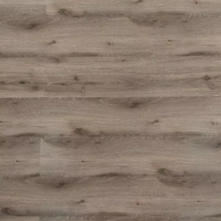 Panele laminowane 71708-7 Spring Floor Panele laminowane 71708-7 Spring Floor
