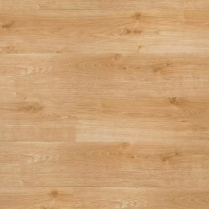 Panele laminowane 75011 Spring Floor Panele laminowane 75011 Spring Floor