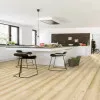 Panele laminowane IM1860 Quick-Step Impressive Panele laminowane IM1860 Quick-Step Impressive