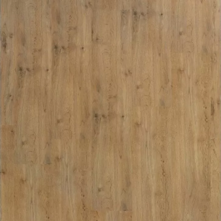 Panele laminowane 3010 (B6107) Grandeco Charme Panele laminowane 3010 (B6107) Grandeco Charme