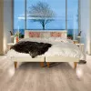 Panele laminowane L0201-01801 Pergo Classic Plank 33 Oe Panele laminowane L0201-01801 Pergo Classic Plank 33 Oe