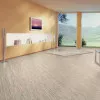Panele laminowane 2961 Kronotex Dynamic Panele laminowane 2961 Kronotex Dynamic