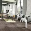 Panele laminowane 3954 Swiss Krono Swiss Noblesse V4 Panele laminowane 3954 Swiss Krono Swiss Noblesse V4