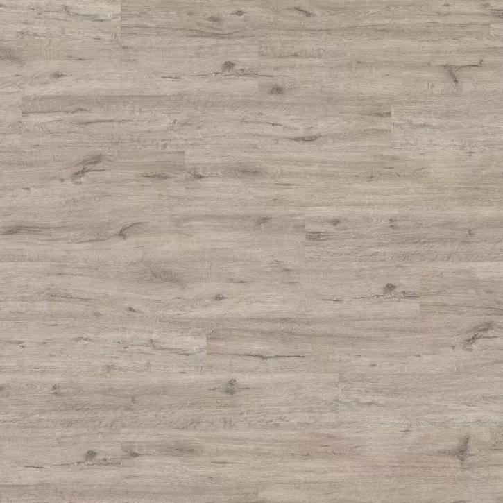 Panele laminowane 534267 Haro Panele laminowane 534267 Haro