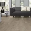 Panele laminowane 4691 Kronotex Exquisit Plus Panele laminowane 4691 Kronotex Exquisit Plus