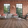 Panele laminowane LA167MV4 Wineo 500 Medium V4 Panele laminowane LA167MV4 Wineo 500 Medium V4