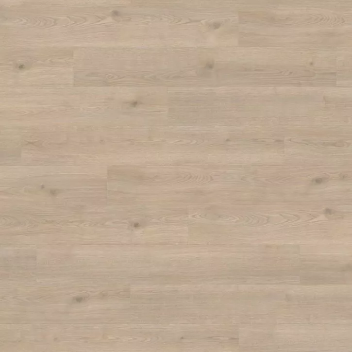 Panele laminowane 538696 Haro Tritty 100 Panele laminowane 538696 Haro Tritty 100