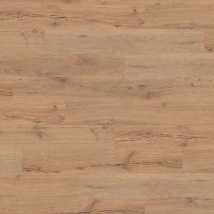 Panele laminowane 526676 Haro Tritty 100 Panele laminowane 526676 Haro Tritty 100