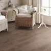 Panele laminowane 538697 Haro Tritty 100 Panele laminowane 538697 Haro Tritty 100