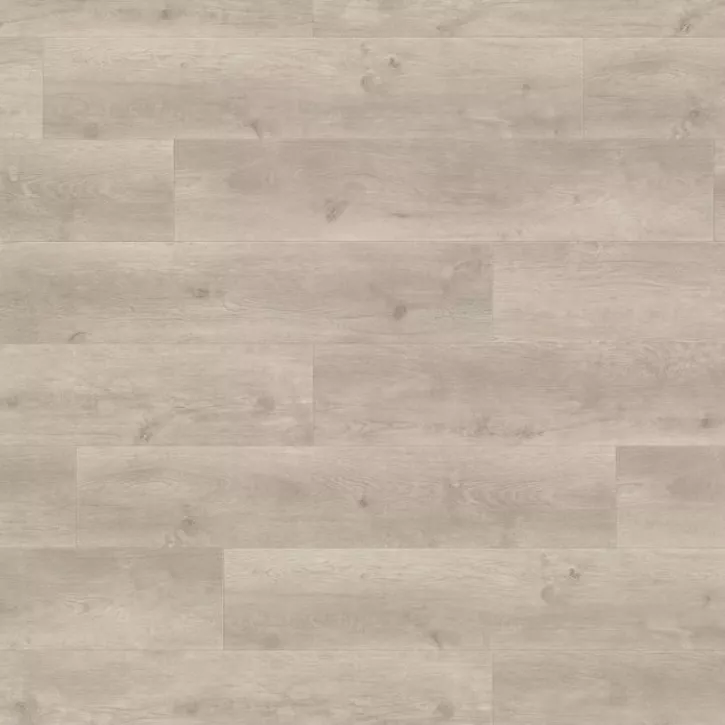 Panele laminowane 538748 Haro Tritty 100 Campus 4V Panele laminowane 538748 Haro Tritty 100 Campus 4V