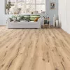 Panele laminowane 532060 Haro Tritty 100 Campus 4V Panele laminowane 532060 Haro Tritty 100 Campus 4V