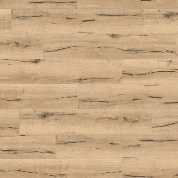 Panele laminowane 532060 Haro Tritty 100 Campus 4V Panele laminowane 532060 Haro Tritty 100 Campus 4V