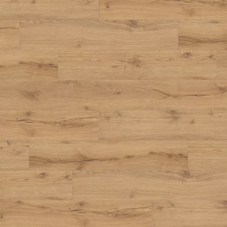 Panele laminowane 532063 Haro Tritty 100 Campus 4V Panele laminowane 532063 Haro Tritty 100 Campus 4V