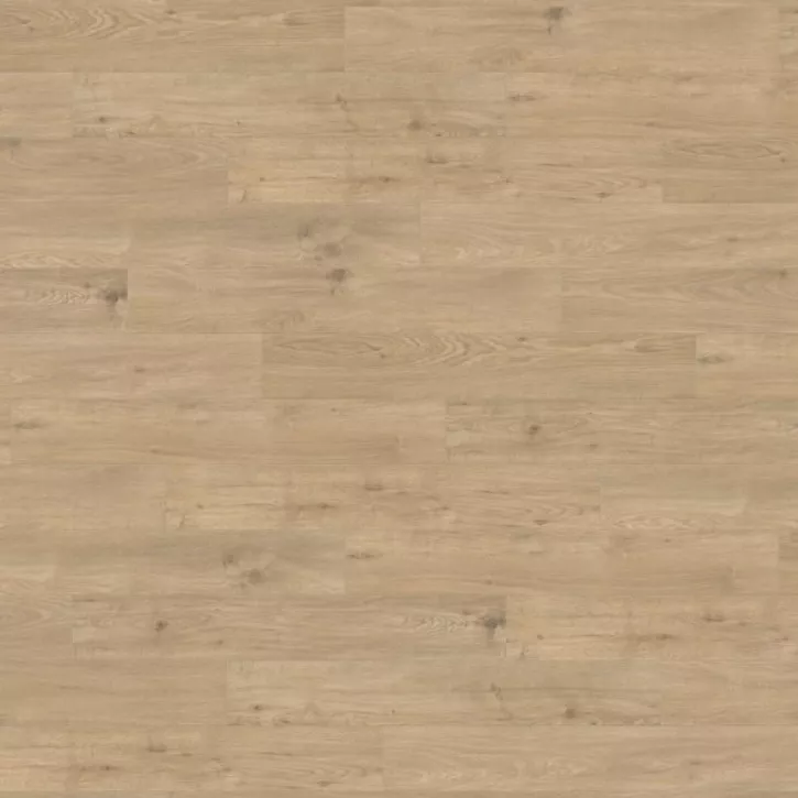 Panele laminowane 537370 Haro Tritty 200 Aqua Panele laminowane 537370 Haro Tritty 200 Aqua