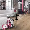 Panele laminowane 2596 Swiss Krono Kappa Panele laminowane 2596 Swiss Krono Kappa