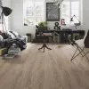 Panele winylowe DLC00062 Wineo Vinil Wood 800 XL