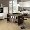 Panele winylowe DB00125 Wineo Vinil 400 Wood XL
