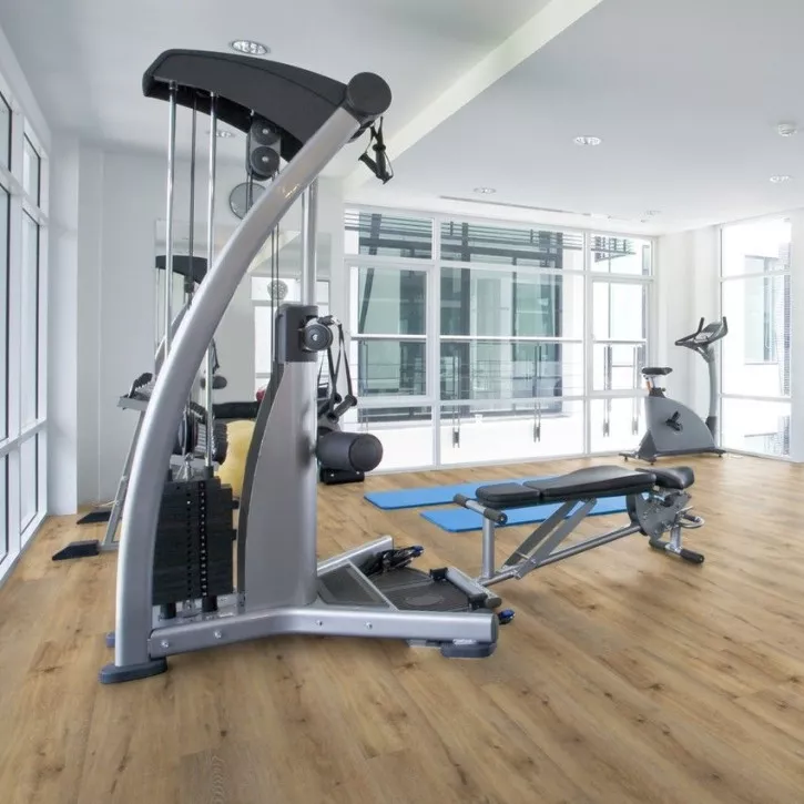 Panele winylowe DLC00126 Wineo Vinil 400 Wood XL