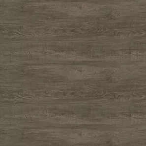 Panele winylowe 10183999 Oneflor Ecoclick 55 Planks