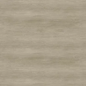 Panele winylowe 10185999 Oneflor Ecoclick 55 Planks