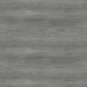Panele winylowe 10187999 Oneflor Ecoclick 55 Planks