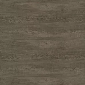 Panele winylowe 10143999 Oneflor Eco 55 Planks
