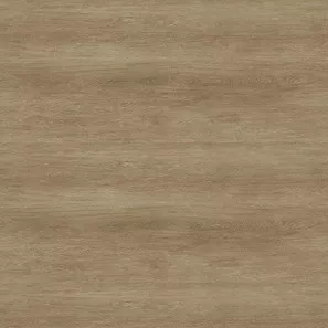 Panele winylowe 10146999 Oneflor Eco 55 Planks