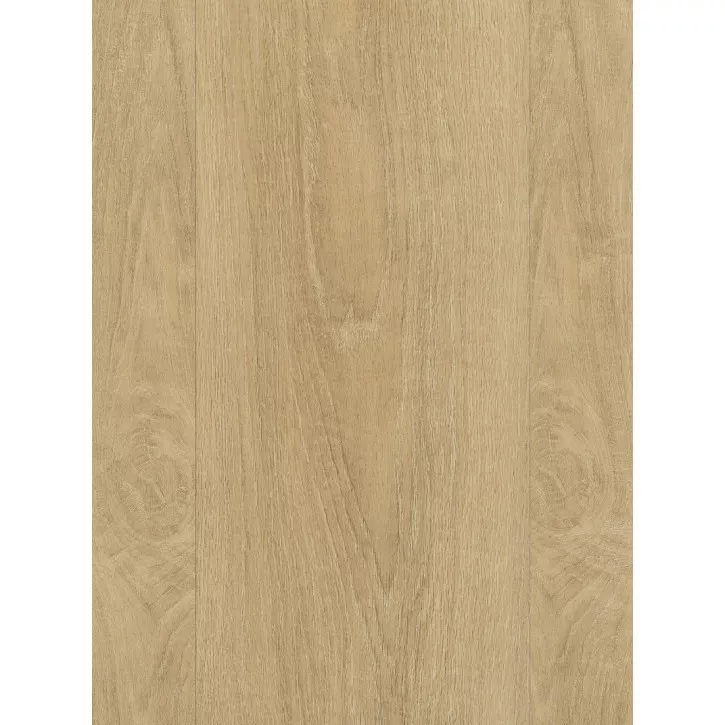 Panele winylowe DLC00006 Wineo Vinil 600 Wood