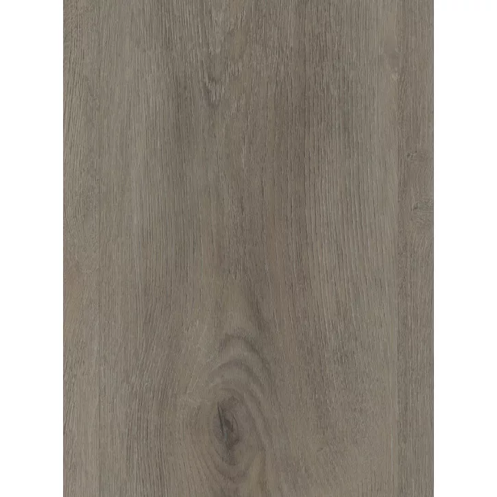 Panele winylowe DLC00029 Wineo Vinil 600 Wood XL Panele winylowe DLC00029 Wineo Vinil 600 Wood XL