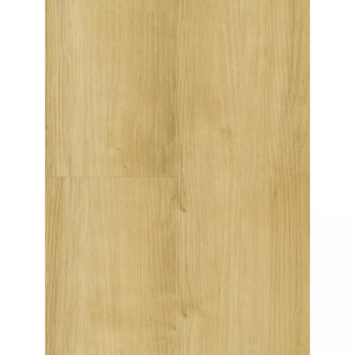 Panele winylowe DLC00080 Wineo Vinil 800 Wood Panele winylowe DLC00080 Wineo Vinil 800 Wood