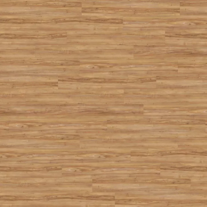 Panele winylowe DB00081 Wineo Vinil 800 Wood Panele winylowe DB00081 Wineo Vinil 800 Wood